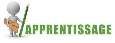 Cours de Français et langues étrangères par webcam.