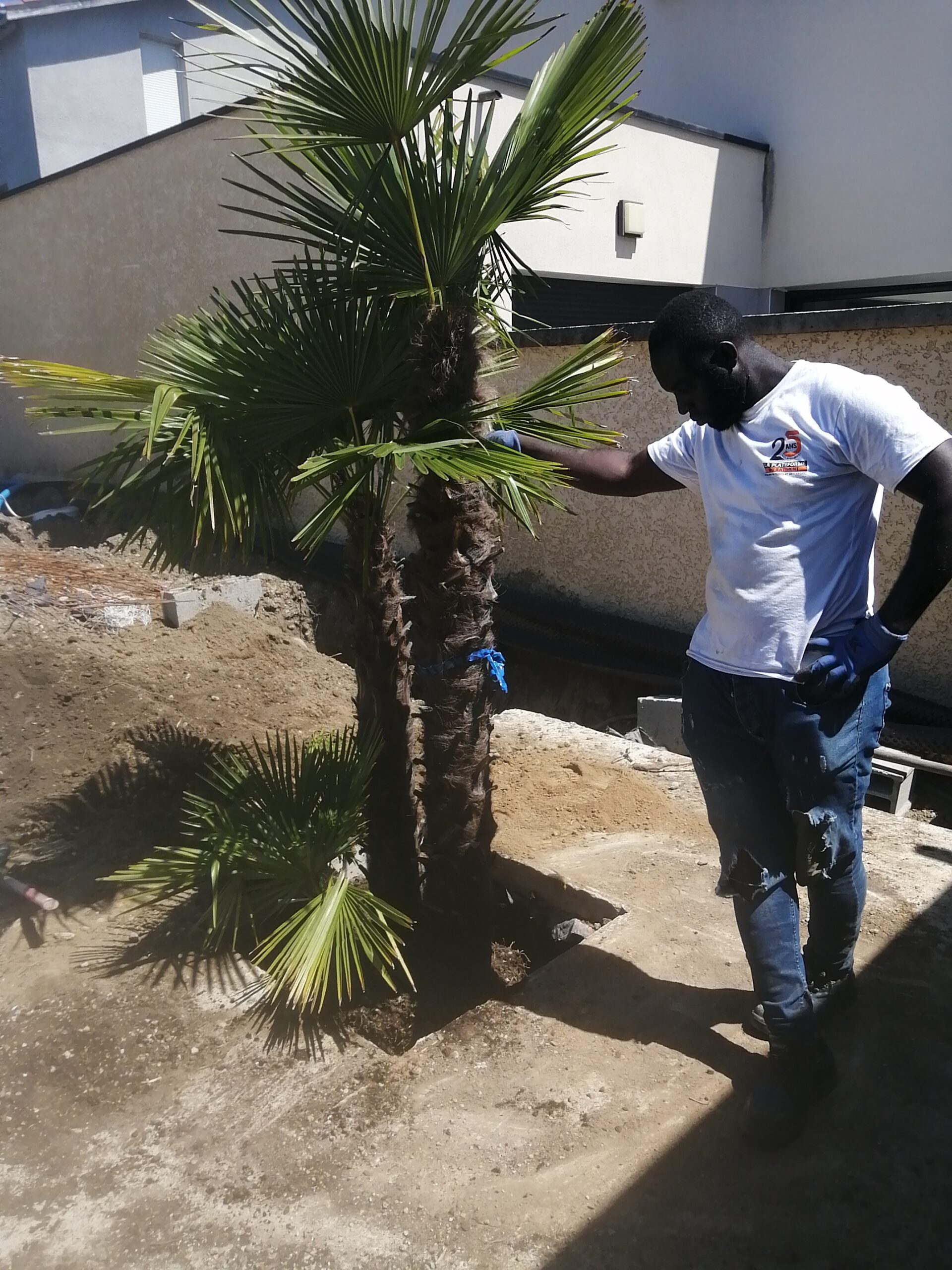 entretien et aménagement du jardin