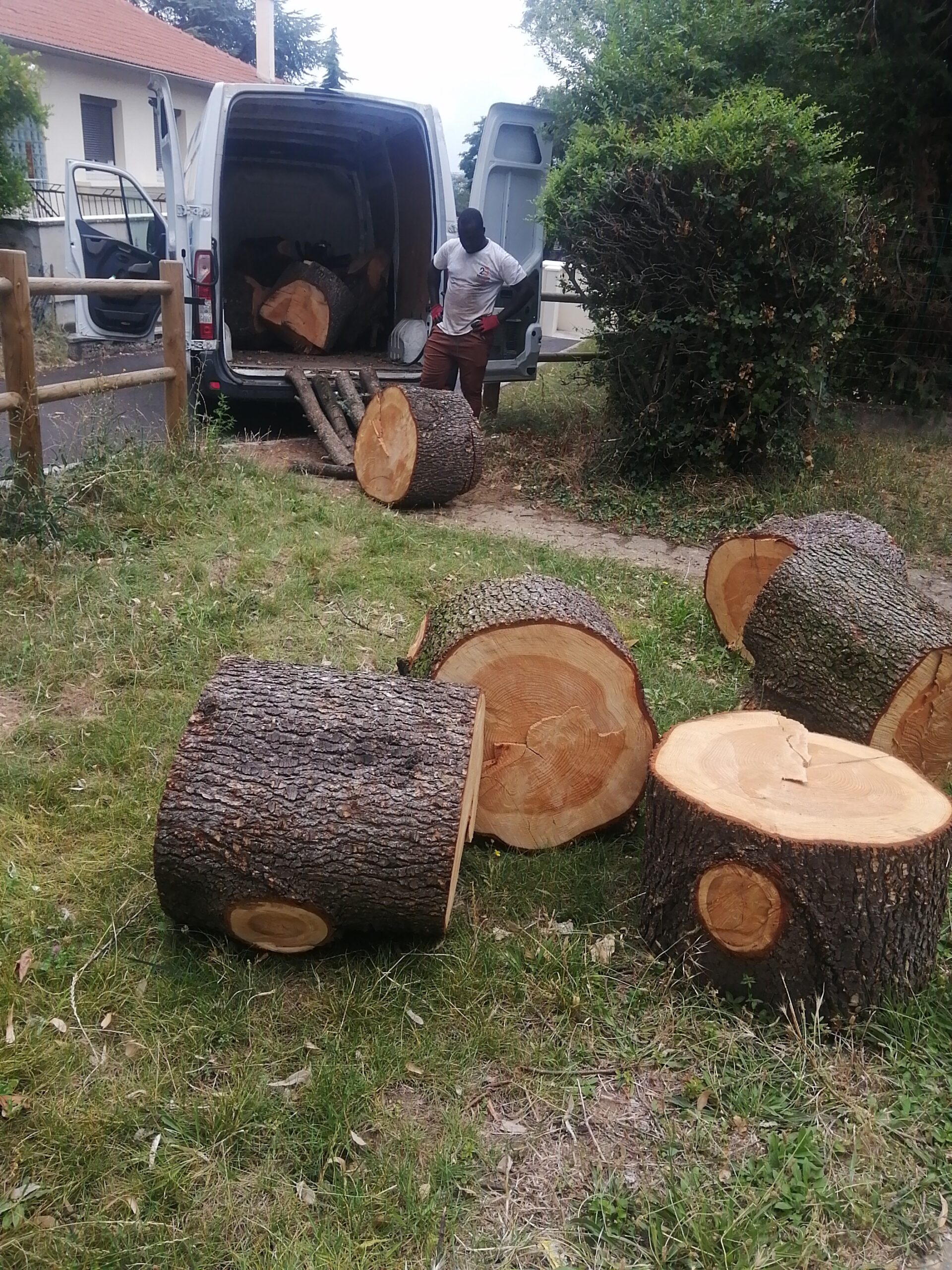 entretien et aménagement du jardin