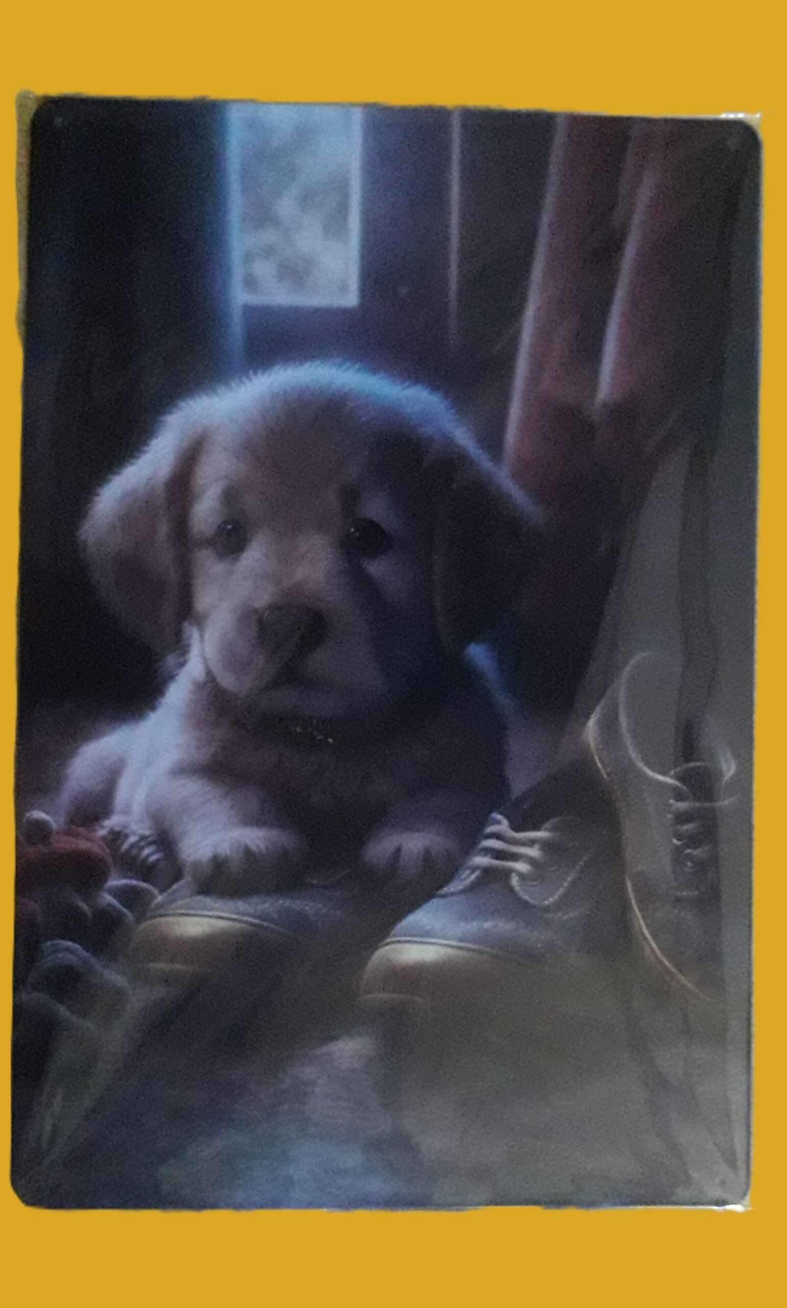 plaque décoration mural