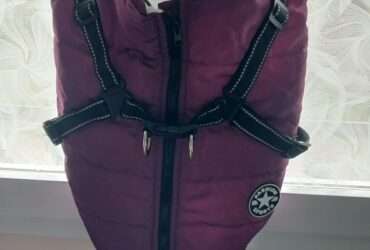 MANTEAU POUR PETIT CHIEN TOUS TEMPS