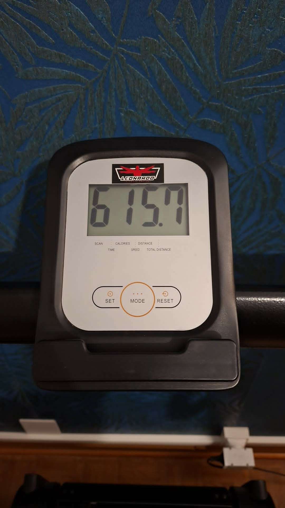 Tapis de course magnétique Evilseed Leonardo